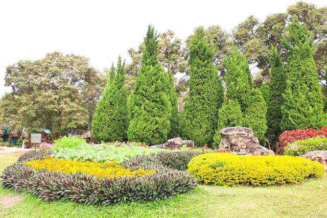 这个小区绿化感觉好#园林绿化 #小区绿化 #景观工程 #最美
